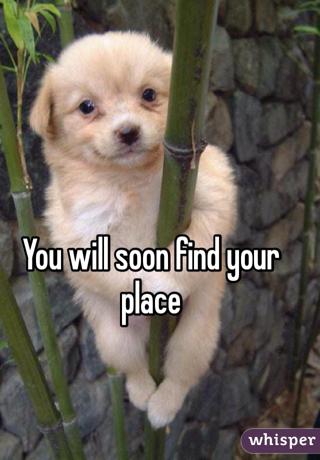 You will soon find your place
