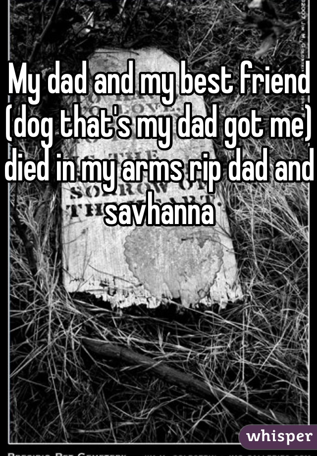 My dad and my best friend (dog that's my dad got me) died in my arms rip dad and savhanna 