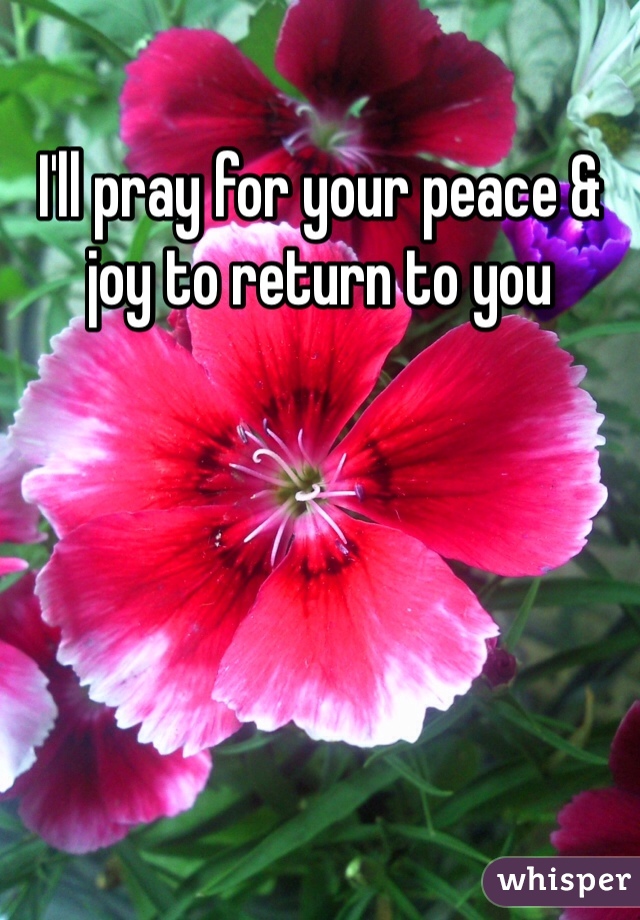 I'll pray for your peace & joy to return to you