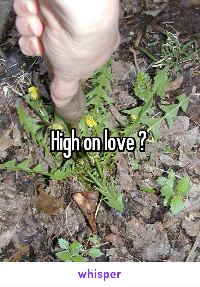 High on love ? 