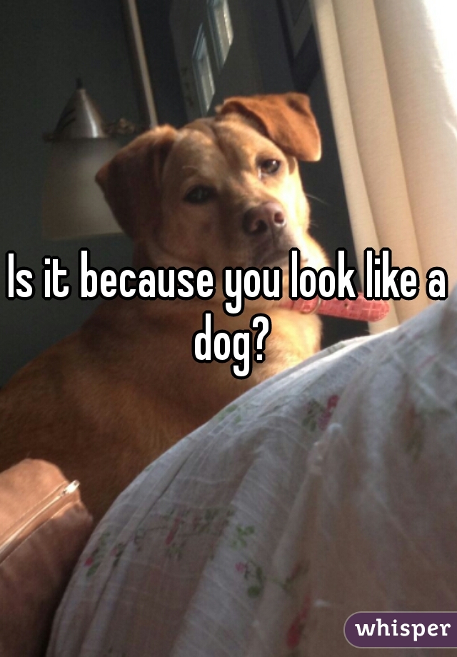 Is it because you look like a dog?