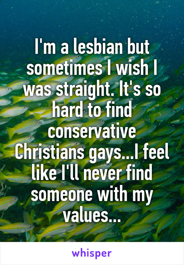I'm a lesbian but sometimes I wish I was straight. It's so hard to find conservative Christians gays...I feel like I'll never find someone with my values...