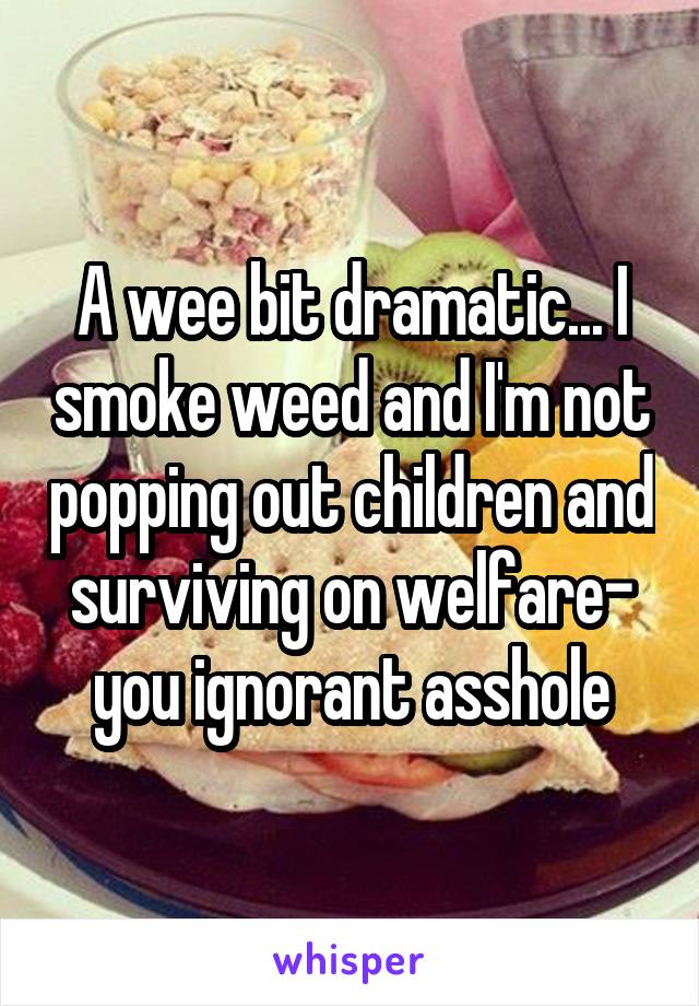 A wee bit dramatic... I smoke weed and I'm not popping out children and surviving on welfare- you ignorant asshole