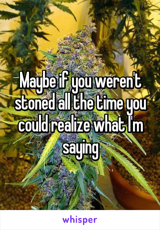 Maybe if you weren't stoned all the time you could realize what I'm saying