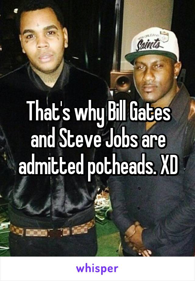 That's why Bill Gates and Steve Jobs are admitted potheads. XD