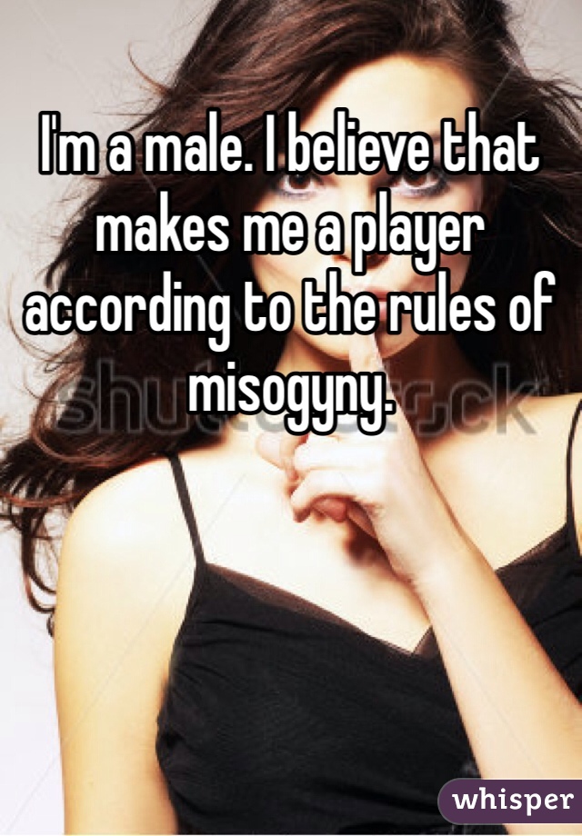 I'm a male. I believe that makes me a player according to the rules of misogyny. 