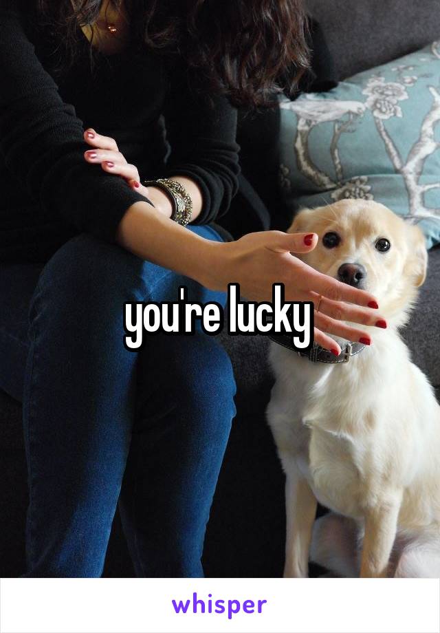 you're lucky 