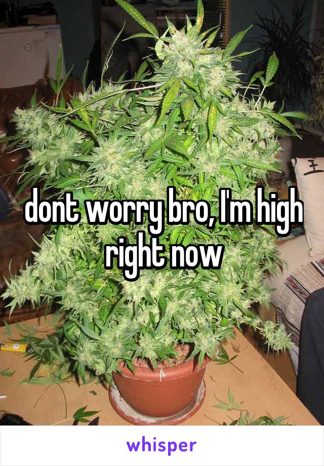 dont worry bro, I'm high right now