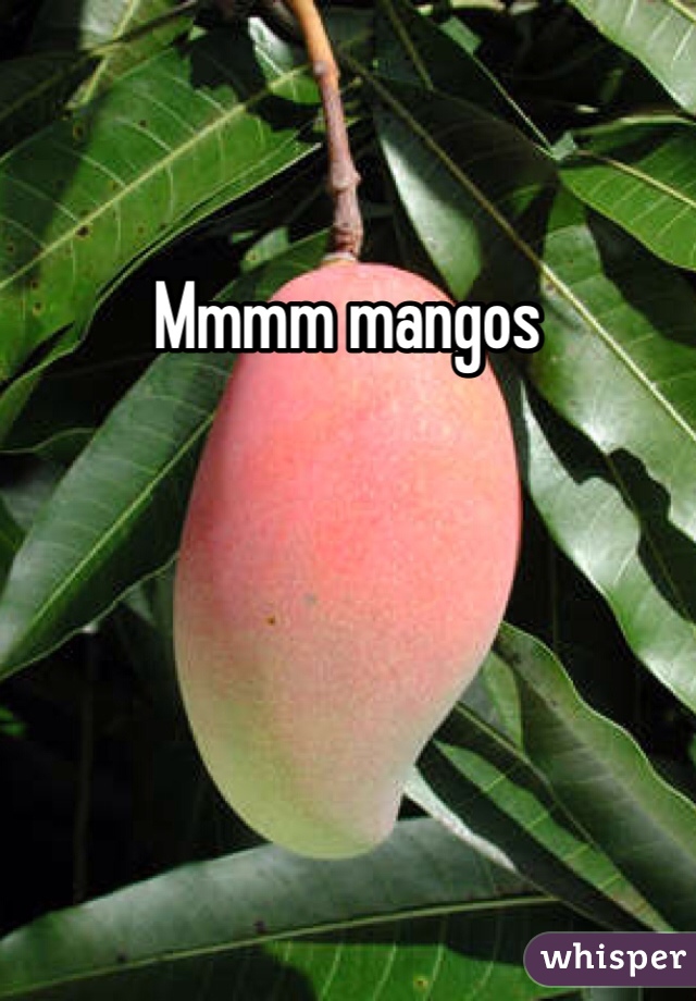 Mmmm mangos