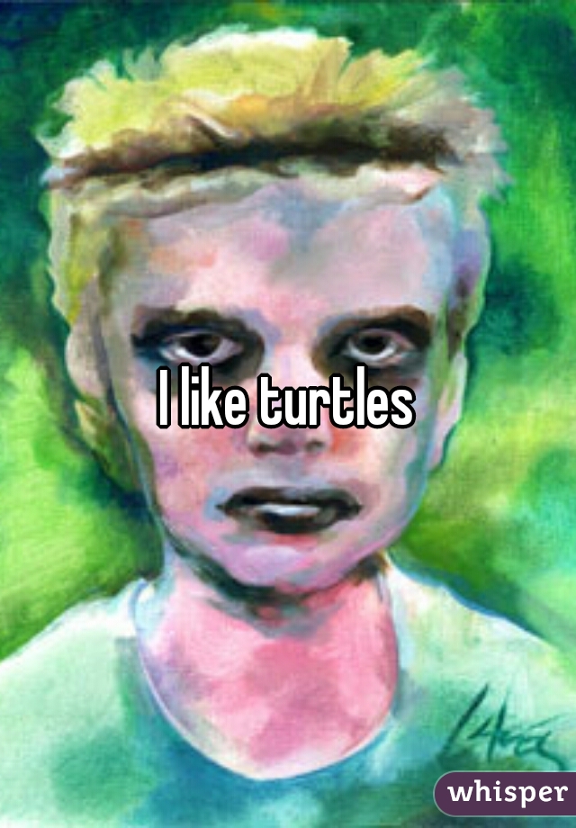 I like turtles