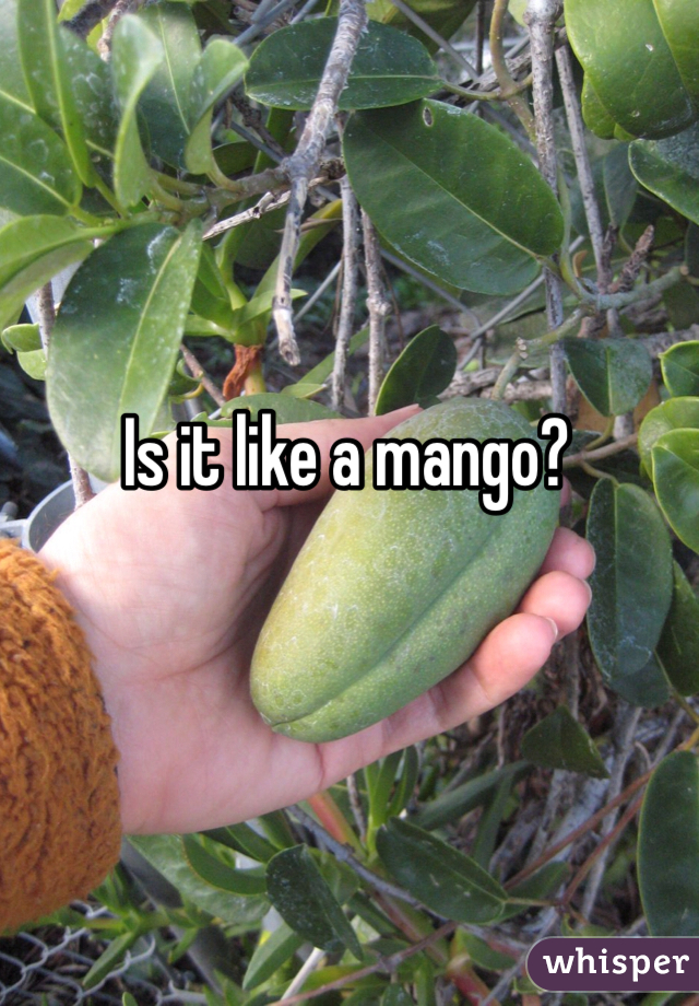 Is it like a mango?