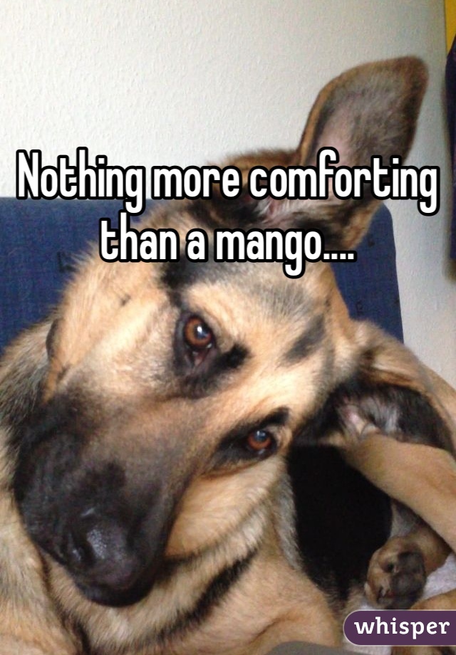 Nothing more comforting than a mango.... 