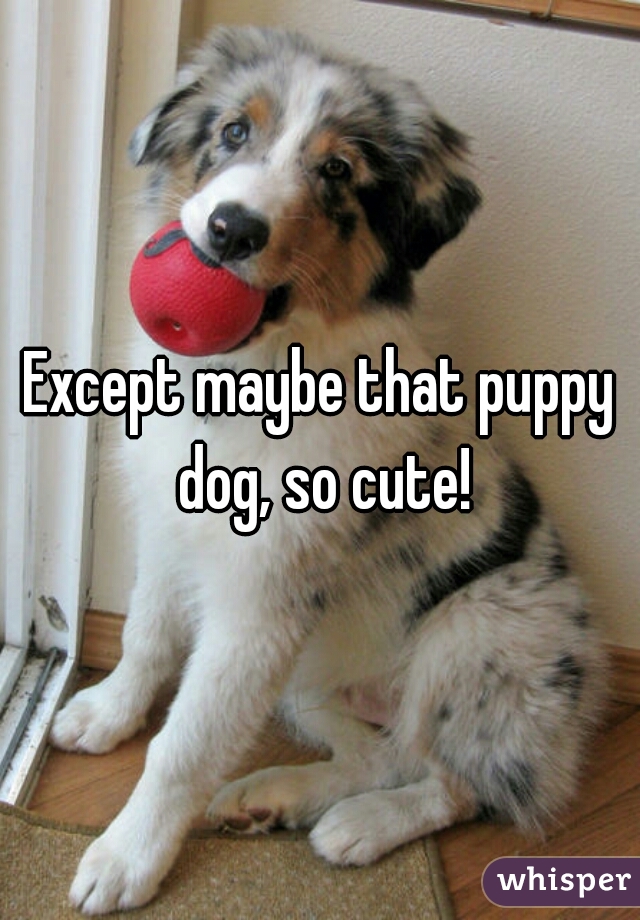 Except maybe that puppy dog, so cute!