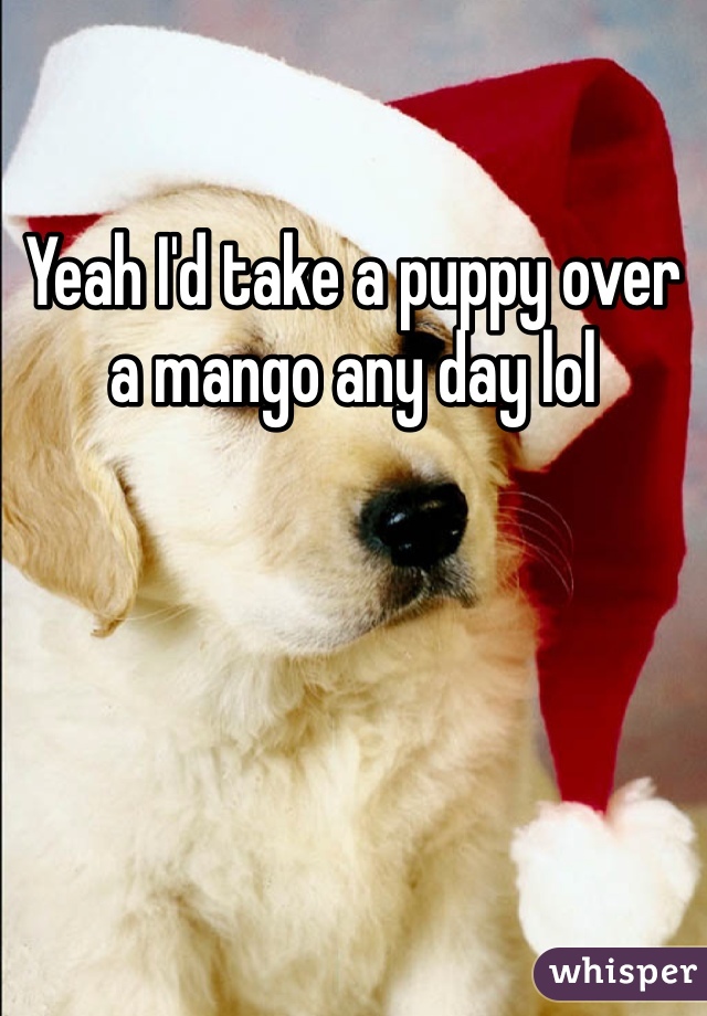 Yeah I'd take a puppy over a mango any day lol 