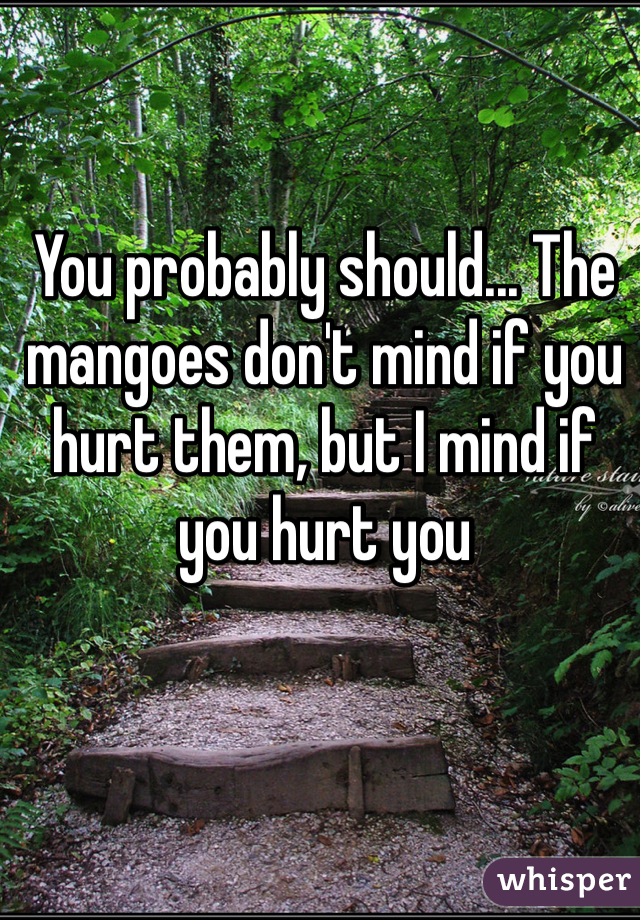 You probably should... The mangoes don't mind if you hurt them, but I mind if you hurt you