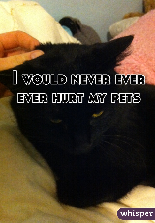 I would never ever ever hurt my pets