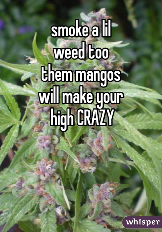 smoke a lil
weed too
them mangos 
will make your
 high CRAZY
