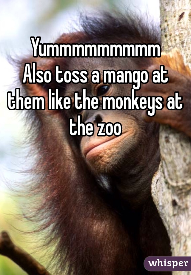 Yummmmmmmmm 
Also toss a mango at them like the monkeys at the zoo