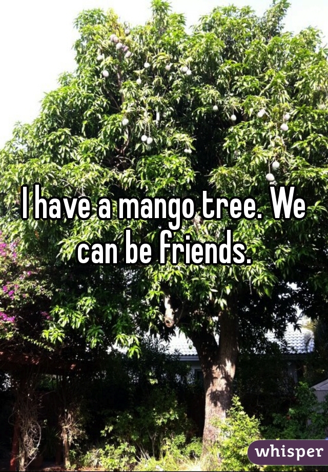 I have a mango tree. We can be friends. 