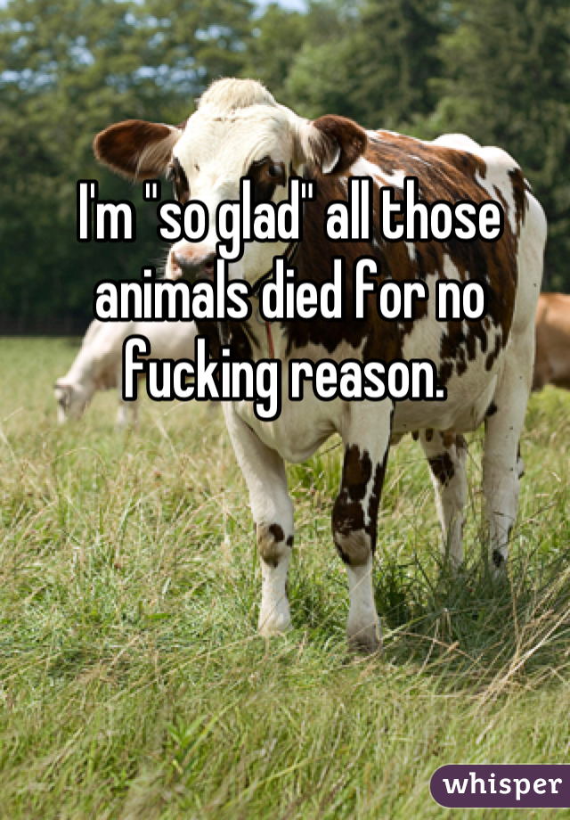 I'm "so glad" all those animals died for no fucking reason. 
