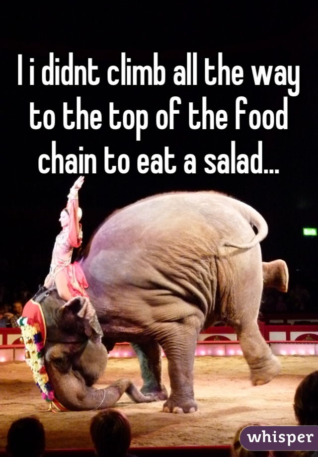 I i didnt climb all the way to the top of the food chain to eat a salad...