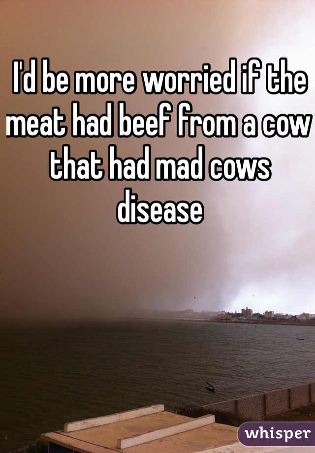 I'd be more worried if the meat had beef from a cow that had mad cows disease 
 
