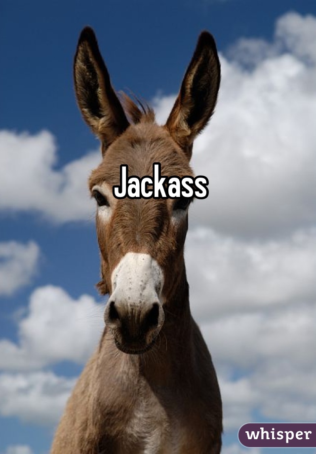 Jackass 