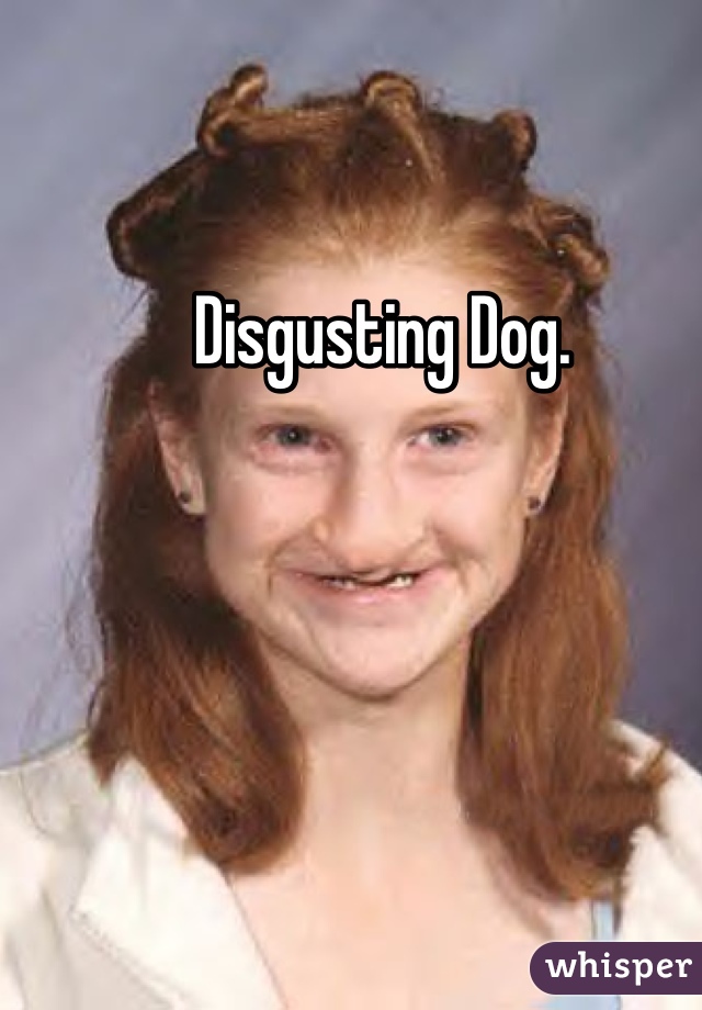 Disgusting Dog.