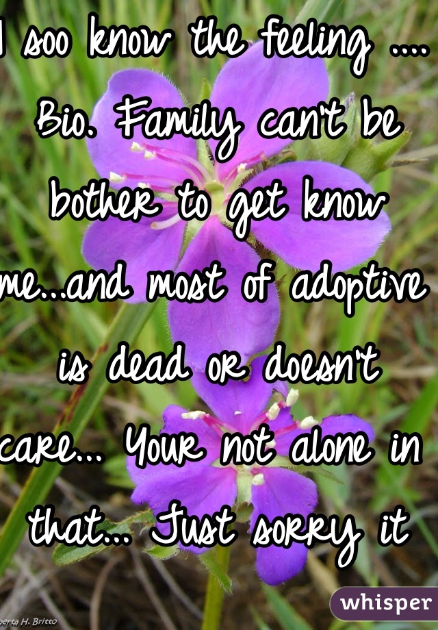 I soo know the feeling .... Bio. Family can't be bother to get know me...and most of adoptive is dead or doesn't care... Your not alone in that... Just sorry it happens .
