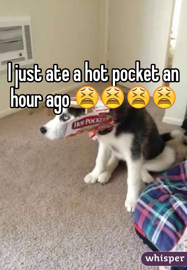 I just ate a hot pocket an hour ago 😫😫😫😫