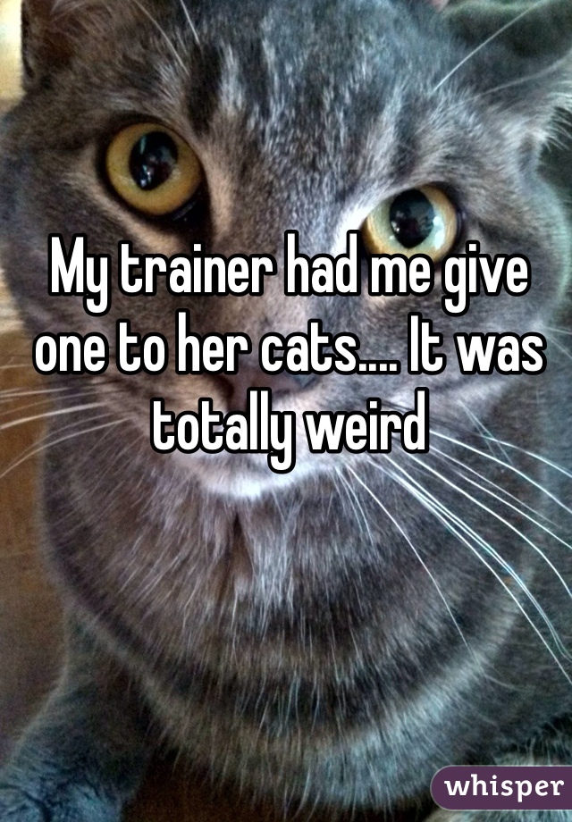 My trainer had me give one to her cats.... It was totally weird