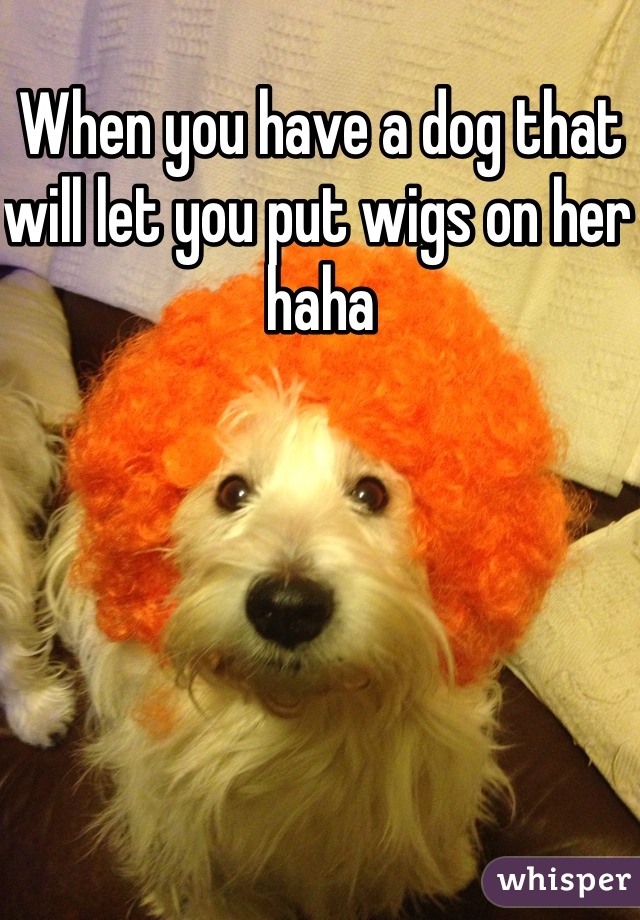 When you have a dog that will let you put wigs on her haha 