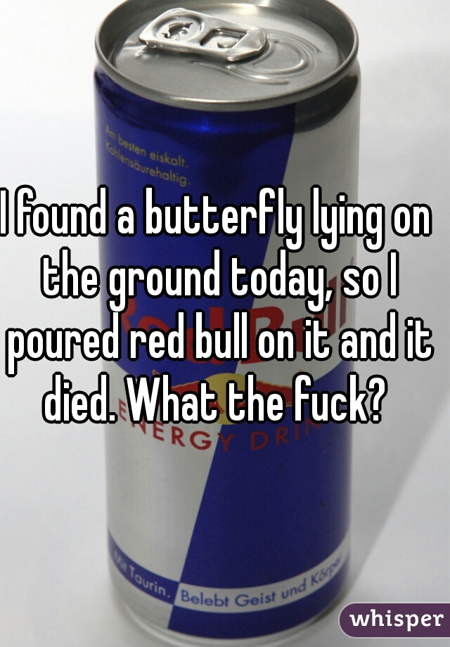 I found a butterfly lying on the ground today, so I poured red bull on it and it died. What the fuck? 