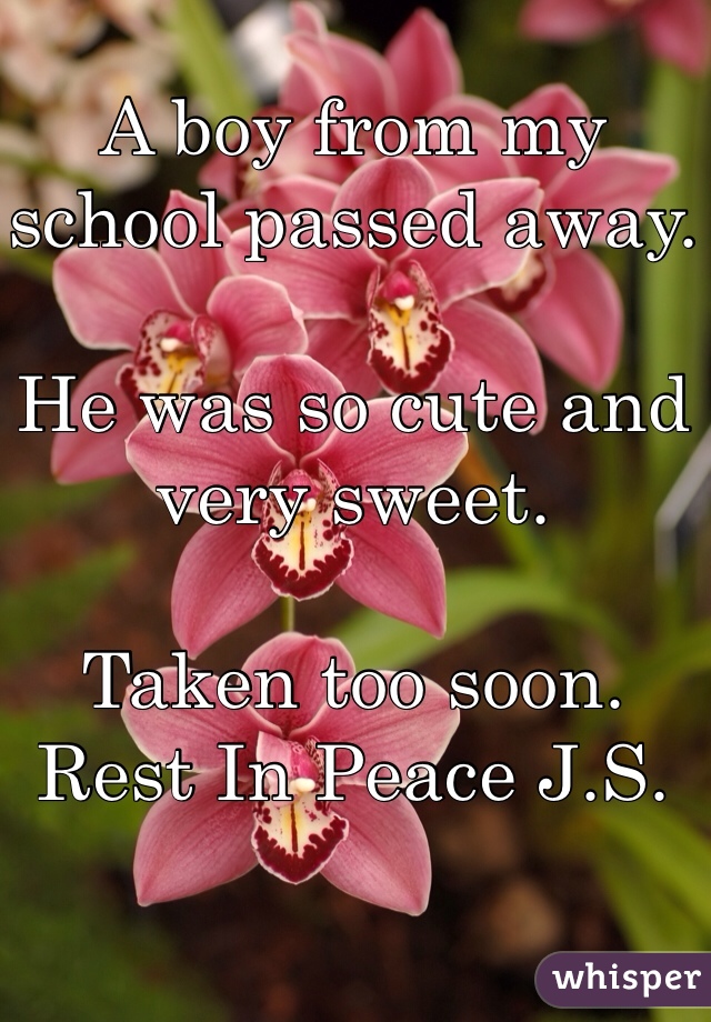 A boy from my school passed away.

He was so cute and very sweet.

Taken too soon.
Rest In Peace J.S. 