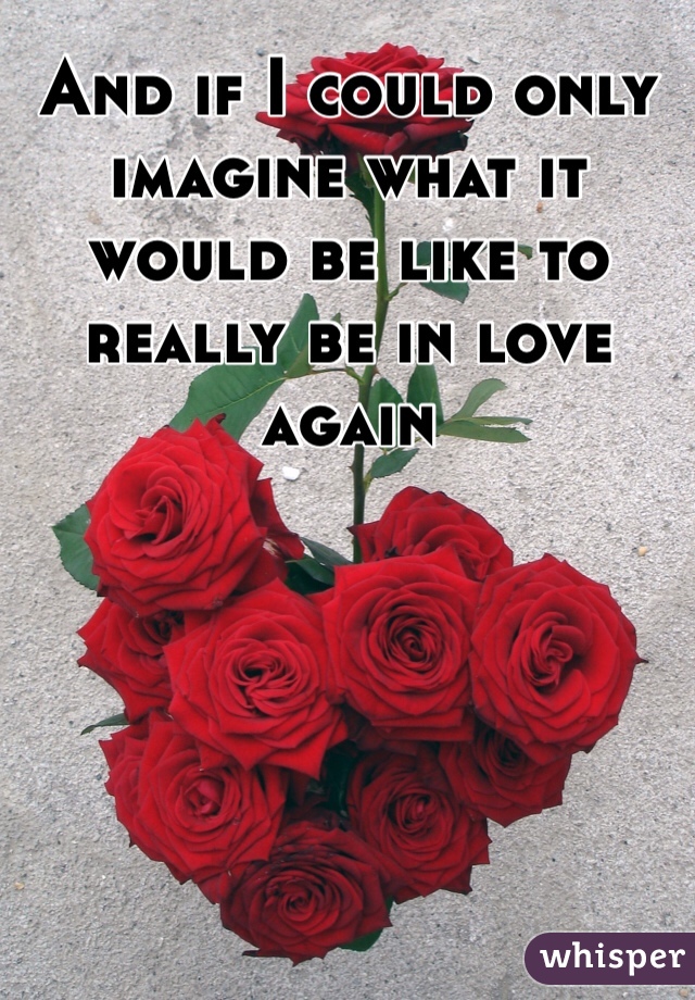 And if I could only imagine what it would be like to really be in love again 
