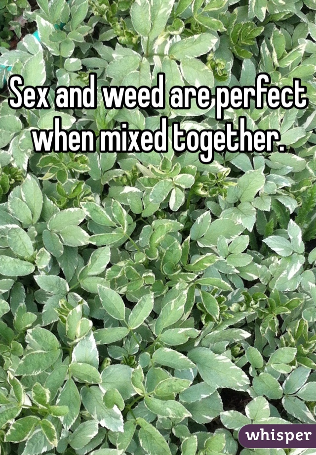 Sex and weed are perfect when mixed together. 