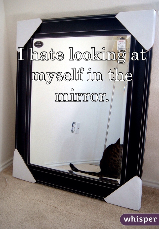 I hate looking at myself in the mirror. 