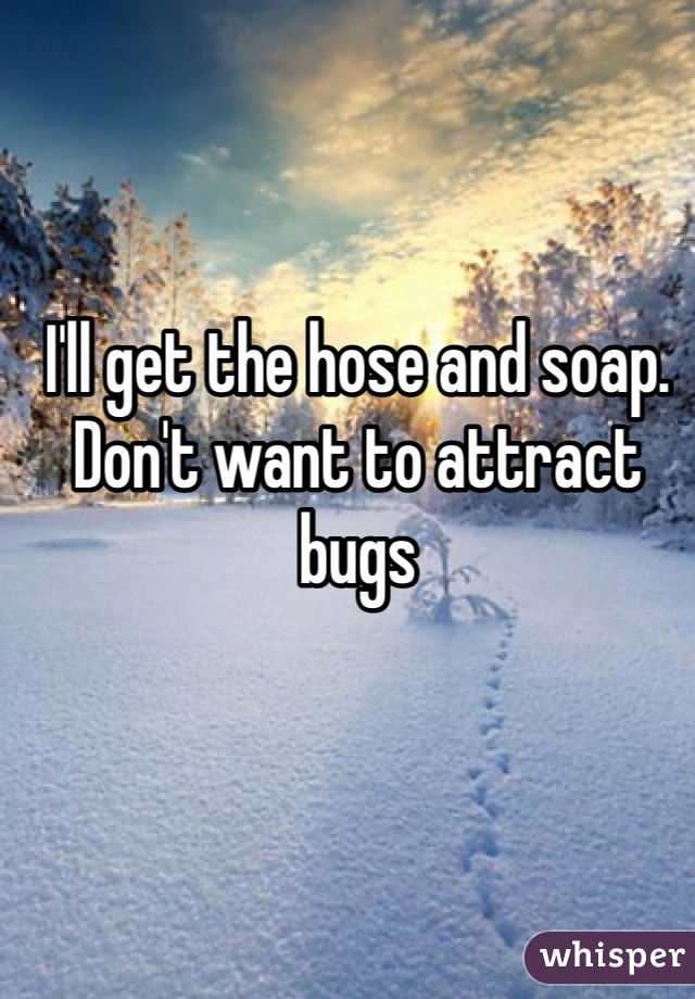 I'll get the hose and soap. Don't want to attract bugs