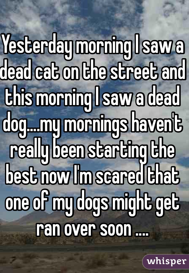 Yesterday morning I saw a dead cat on the street and this morning I saw a dead dog....my mornings haven't really been starting the best now I'm scared that one of my dogs might get ran over soon ....