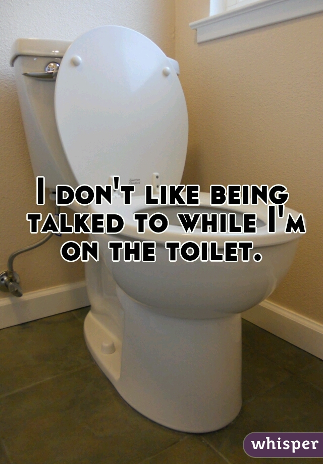 I don't like being talked to while I'm on the toilet. 