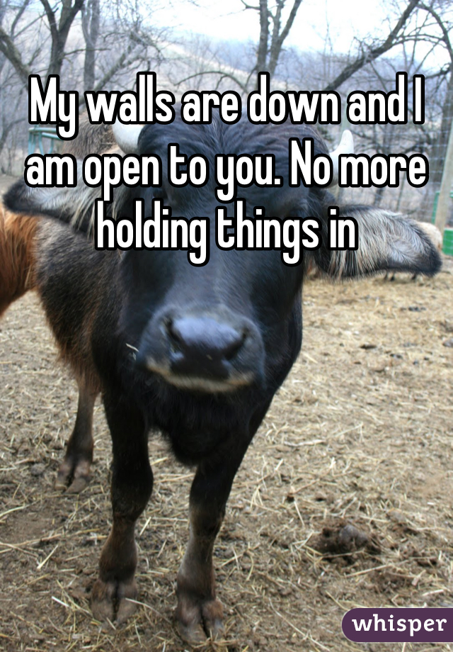 My walls are down and I am open to you. No more holding things in