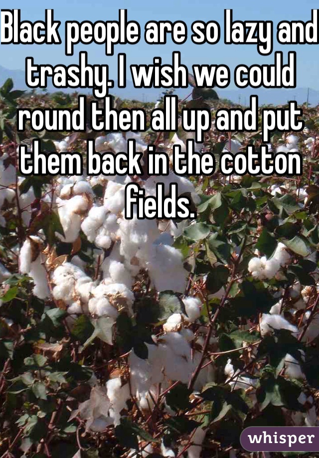 Black people are so lazy and trashy. I wish we could round then all up and put them back in the cotton fields. 