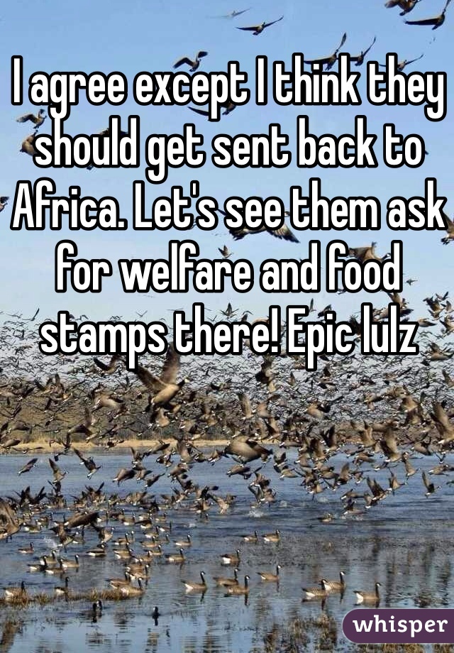 I agree except I think they should get sent back to Africa. Let's see them ask for welfare and food stamps there! Epic lulz