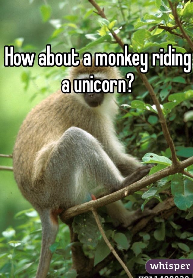 How about a monkey riding a unicorn?