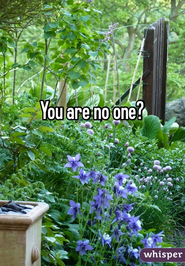You are no one?