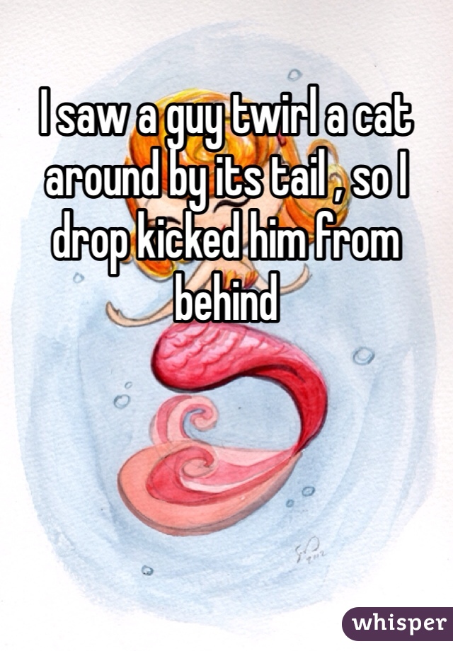 I saw a guy twirl a cat around by its tail , so I drop kicked him from behind 