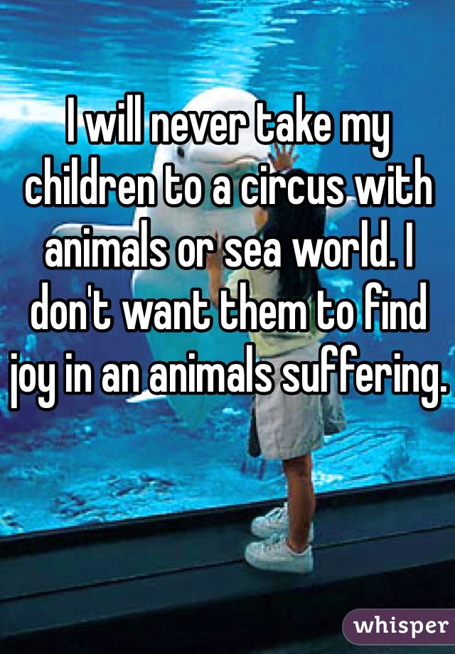 I will never take my children to a circus with animals or sea world. I don't want them to find joy in an animals suffering.
