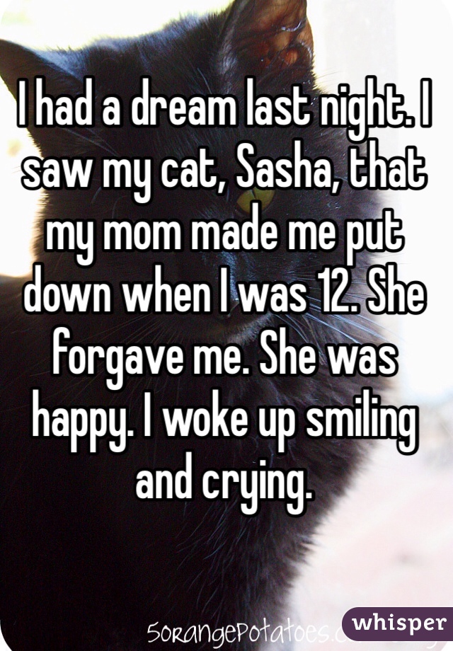 I had a dream last night. I saw my cat, Sasha, that my mom made me put down when I was 12. She forgave me. She was happy. I woke up smiling and crying.