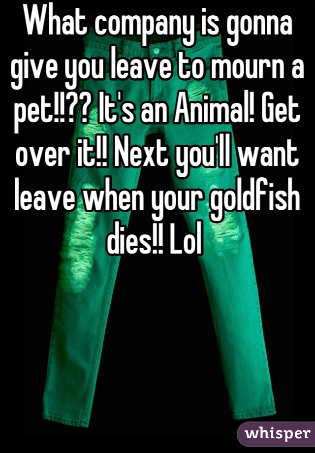 What company is gonna give you leave to mourn a pet!!?? It's an Animal! Get over it!! Next you'll want leave when your goldfish dies!! Lol 
