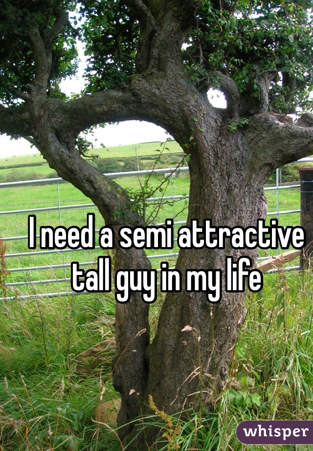 I need a semi attractive tall guy in my life